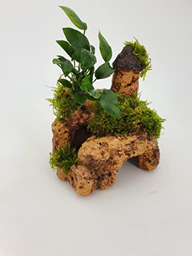 Höhlen Polyresin Kunstharz oder Keramik versch. Nachbildungen mit echten Wasserpflanzen bepflanzt Handmade jedes ein Unikat (Burg)