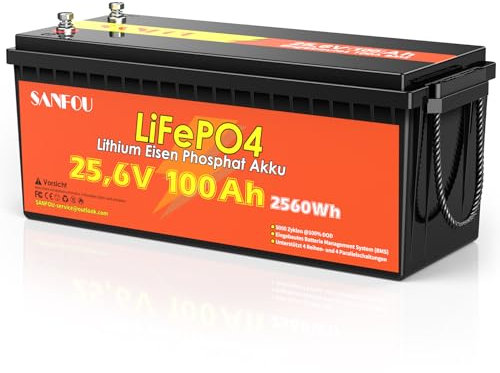 SANFOU Batteria LiFePO4 24V 100Ah, Batteria al Litio con BMS integrato 100 A, Energia 2560 Wh, Batteria per Auto, Oltre 5000 cicli per campeggio, roulotte, rimorchio e sistema solare off-grid