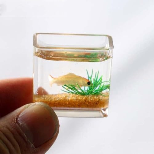 Zcccc 1 x Dollhouse Miniature Aquarium Dollhouse Mini Glass Aquarium Model Miniature Fish Bowl Scene Model Dollhouse Decoration Toy Dollhouse Accessories (Square)