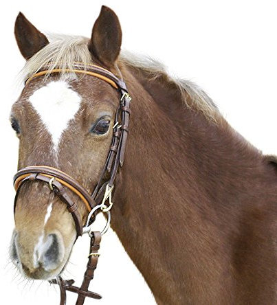 Euroriding Trense Euro-Club ER-04, Farbe:braun. london unterlegt, Größe:Pony (Pony 13034003)