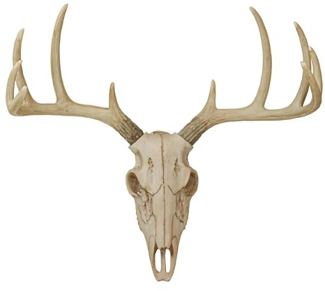 Ebros Gift Rustikaler Jäger Hirsch 10 Punkt Buck Skull Trophäe Geweih Wandmontierte Plakette Trophäe Dekoration Figur 36,2 cm lang Jäger Geweih Hirsch Buck Jagd Schädel Trophäen hängende Skulpturen