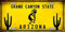 Inga Nummernschild, Motiv Kokopelli Kaktus Arizona State Hintergrund, 15,2 x 30,5 cm