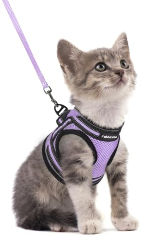 rabbitgoo Pettorina Gatto Antifuga, Guinzaglio Gatti Regolabile, Imbracatura Ultra-Leggero Morbido Riflettente per Cucciolo, Gattini e Gatto Piccolo, Pettorina per Passeggio e Corsa, S, Viola Chiaro
