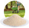 Schicker Mineral Spezial Rasensand 25 kg zur Rasenpflege, Bodenauflockerung, für grünen Rasen, zur Belüftung des Bodens, verbesserte Wasserdurchlässigkeit (Premium-Rasensand, 0,5-1,0 mm)