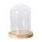 ADP Cloche en Verre avec Socle en Bois Naturel 29429 - ∅10x20cm - Cloche en Verre Décorative Transparente avec Plateau en Bois, Décorations de Table, Antiquités, Compositions Florales...