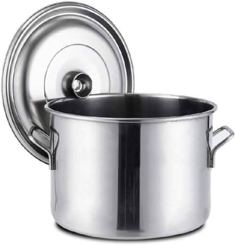 Stockpots - Pentola grande profonda in acciaio inox, professionale a induzione, in acciaio inox, con coperchio, colore argento, 25 x 18 cm