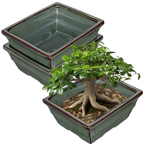Oairse Set of 2 Bonsai Pots Shallow Succulent Planters for Live Bonsai Trees, 25.5cm Ceramic Plant Pot for Succulents Indoor with Drainage Hole, Outdoor Cactus Plant, Dark Green Ceramic Flower Pot