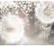 decomonkey Fototapete Pusteblume Abstrakt 400x280 cm XL Tapete Fototapeten Vlies Tapeten Vliestapete Wandtapete moderne Wandbild Wand Schlafzimmer Wohnzimmer Blumen Ornament