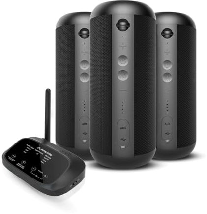 Avantree Harmony 2 - Sistema Multiroom Altoparlante Wireless Set Stereo Con Ingressi Bluetooth e Cablati, Ogni Speaker Funziona Come Altoparlante Bluetooth Portatile Indipendente