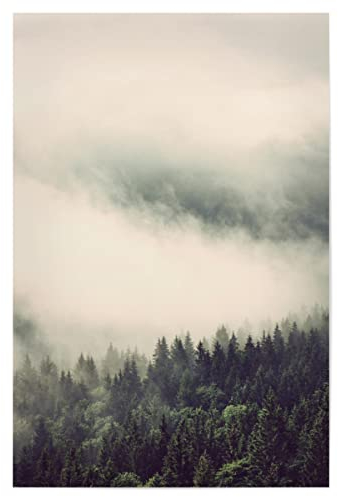 artboxONE Poster 30x20 cm Sehenswürdigkeiten Natur Vernebelter Wald - Bild Wald Natur Nebel