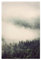 artboxONE Poster 30x20 cm Sehenswürdigkeiten Natur Vernebelter Wald - Bild Wald Natur Nebel