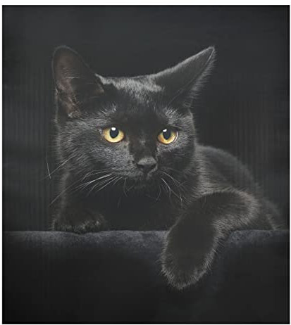 Ollabaky Schwarze Katze Geschirrspüler Magnet Abdeckung Aufkleber Magnetische Geschirrspüler Türabdeckung Aufkleber Kühlschrank Magnet Aufkleber für Home Schrank Geräte 58,4 x 66 cm