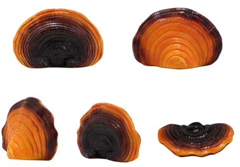 Sahgsa Mini-Pilz-Simulationspilz-Regal, Dekorationsset, Wandregale, Pilzregal, Kunstharz, Künstliche Mini-Reishi-Pilz-Wandregale für Cottage Yard Outdoor