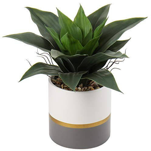 Briful Succulents Artificial Plants Fake Agave Aloe Plants in Gold and Dark Grey Ceramic Pot 9.4 Tall Small Faux House Plant Indoor for Home Office Livingroom Table Bookshelf Decorations
