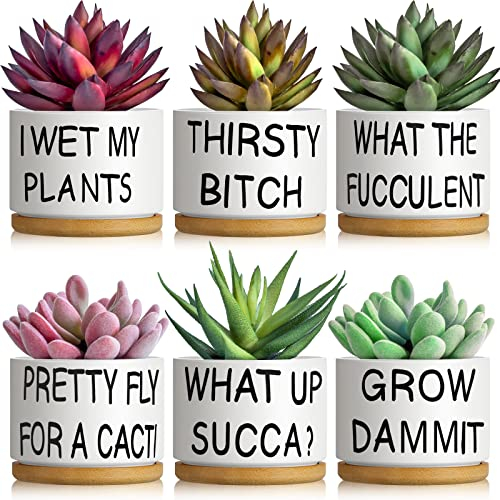 6 vasi per piante grasse, cactus, fiori, in ceramica, divertenti, piccole fioriere per piante grasse, carini, con foro di drenaggio, 6 piattini in bambù per amanti delle piante, regali di compleanno