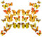 Fililogor 24 Stück 3D Schmetterling Wanddekoration, Doppelschicht Stereo Schmetterling Wandsticker Dekoration Aufkleber Schmetterling abnehmbar Ideal für Party Haus Zimmer (gelb)