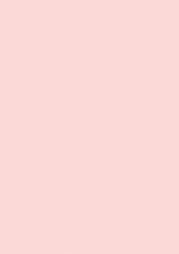 BRUNNEN Multifunktionspapier Universalpapier | A4, 160 g/m², rosé
