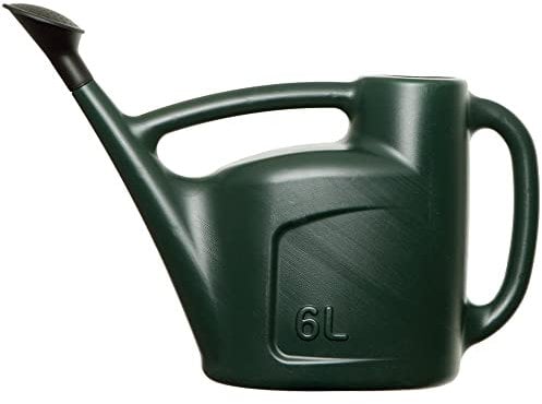 6L Watering Can for Garden Plants Indoor & Outdoor with Detachable Sprinkler Rose Lightweight Water Sprinkler- Green