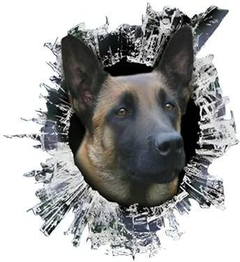 Autoaufkleber Belgische Malinois Aufkleber 18cm(7.1 Inch) Belgische Malinois 3D Zerrissen Autoaufkleber Belgische Schäferhund Wasserdichte Reflektierende Aufkleber Stoßstange Heckscheibe Lustig Dekor
