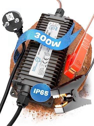 Bauer Electronics | 24V Batterie-Ladegerät LiFePO4 29,2V 10A 300W | Optimiert für Lithium-Eisenphosphat-Akku | Auto-Batterie Charger Wasserdicht KFZ