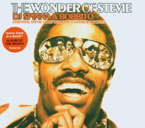 The Wonder of Stevie - DJ Spinna & Bobbito