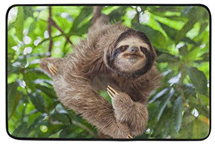 Use7 Fußmatte für den Innen- und Außenbereich, Hipster Faultier auf Baum, 60 x 40 cm