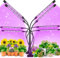 ZHENNBY Pflanzenlampe LED Streifen 2PCS Vollspektrum Grow Light für Zimmerpflanzen Pflanzenlampe mit Clip Stecker Timer 3 Modi Wachstumslampe Wachsen licht für Gemüse Topf Sämlinge Wachsende