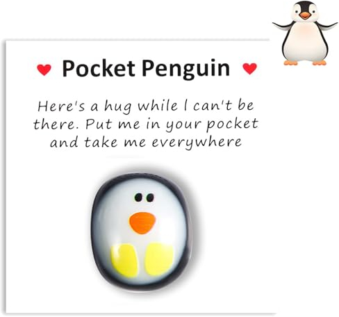 GYHWOFUL Pocket Penguin Hug, Niedlich Pinguin Spielzeug mit Ermutigend Grußkarte, Motivationsgeschenke, Trost Geschenke, Besondere Ermutigung