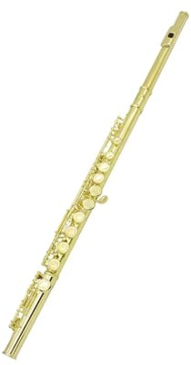 Schülerflöte 16 Löcher Plus E-Taste Flöte Messing Gold Flöte Musikinstrument Lederetui.