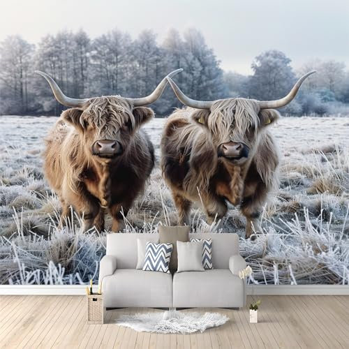 Non-Woven Premium Art Highland Cattle Fleece Animal Cow Photo Wallpaper Mural Kids Adult Bedroom Wall Mural Home Poster Decoration 200 x 140 cm