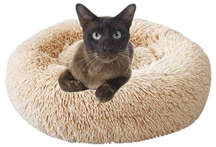 Beruhigendes Hundebett, Donut-Design, Plüsch, mit Reißverschluss, maschinenwaschbar, kleines Haustierbett für Hunde, Katzen, Kätzchen und Welpen, Beige 50 cm