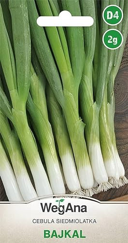 WegAna Bajkal Semillas de Cebolla 2g Cebolla Vegetal, Cebolla Verde Larga, Planta Vegetal Perenne, Semillas de Hortalizas Robustas, Semillas de Hortalizas, Semillas de Cultivo
