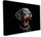 druck.de Keilrahmen - Katzen und Hunde Motive - Wandbild auf Künstler Leinwand – Hochwertiger Kunstdruck - 2cm Holzrahmen mit 280g Canvas - Der wachsame Köter, 90x60 cm - Quer