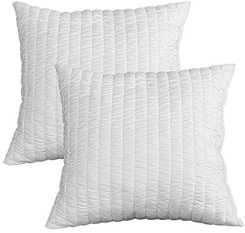 EVERGREENWEB - Cuscini Decorativi Divano Moderno 45x45 Coppia Guanciali per Letto in Fiocco Memory Foam da Arredo Casa o Esterno Alti 15 cm Imbottitura Morbida 100% Effetto Piuma Fodera Bianca OFFERTA