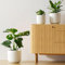 LE TAUCI Ceramic Plant Pots Set, 21+17.5+14.5 cm Indoor Plant Pots, Flower Pots with Drainage Holes, Medium Cylinder Planters for Indoor House Plants, Set of 3, Reactive Glaze White