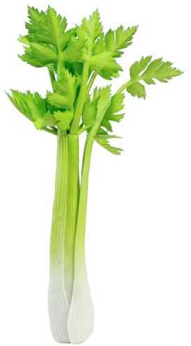 Viana Stangensellerie künstlich Deko Gemüse Real-Touch 30cm für Restaurant & Küche