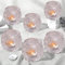 12 Pcs Bougeoirs en Verre pour Bougies Chauffe-Plat, Bougeoirs Transparents pour Bougies Chauffe-Plat pour Centre de Table, Mariage, décoration d'intérieur (Clair)