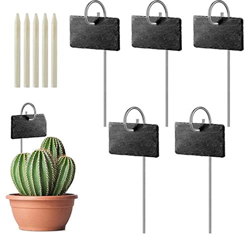 Slate Plant Labels Garden Marker Label Signs with Stakes for Plants Vegetables Greenhouse 5Pcs Black Rectangle Shape 4x2.7 inch.