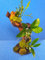Garnelenbäumchen 20-25 cm, Mangrovenwurzel (Mopani) Tropica Aquarium Wasserpflanzen inklusive 2 Mooskugeln, Aquarienwurzel auf Schiefer bepflanzt mit echten Pflanzen