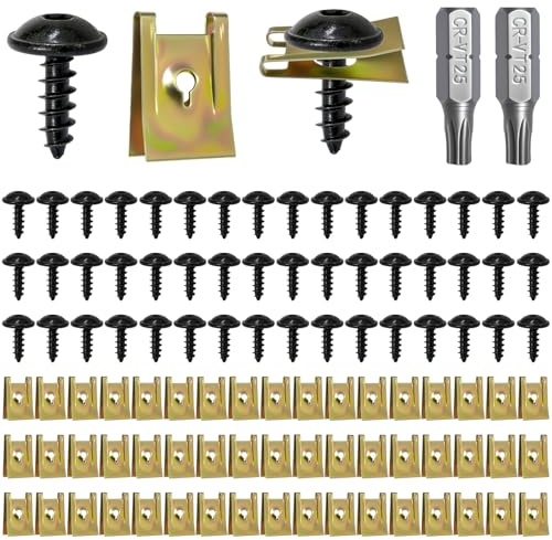 HavaCue 100Pcs Clip à Vis Écrout,50 Sets Vis Carrosserie Voiture+2 T25 Bit | Kit Clips de Fixation Voiture Universal Metal, pour Autos Garde-boue Pare-chocs