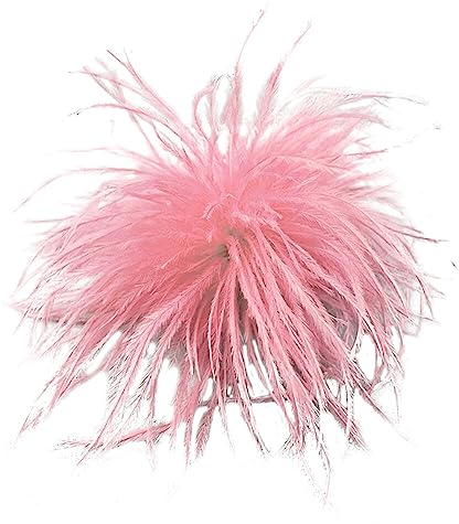 Vintage Feder Brosche,Natürliche Flauschige Straußenfeder Brosche für Frauen Mädchen Feder Ansteckbrosche Elegante Straußenfeder Trachten-Brosche Für Hochzeits Party Geburtstag Schmuck Zubehör