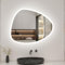 Biubiubath LED Badspiegel 80x55cm Spezial Rund Wand/Touchschalter Anti-Beschlag 3 Lichfarbe Kalt/Neutral/Warmweiß Dimmbar Badspiegel mit Beleuchtung Badezimmerspiegel Lichtspiegel IP44