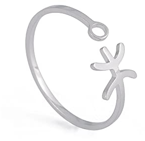 Dreamtimes Edelstahl Sternzeichen Ringe für Frauen 12 Sternzeichen Offener Ring Widder Löwe Jungfrau Zwillinge Waage Fische Skorpion Geburtstagsgeschenk (Fische)