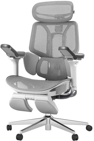 Hbada E3 Pro Ergonomic Office Chair with Dynamic Lumbar Support, 4D Adjustable Headrest for Home Office Chair, 6D Adjustable Armrests Desk Chair, Swivel Big and Tall Computer Chair, Gray