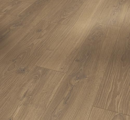 Parador Dekorboden Laminat Classic 1050 Eiche Studioline honig Naturmattstruktur Landhausdiele 4-V-Fuge