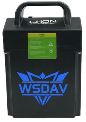 WSDAV Batteria al Litio di Ricambio per carrelli elevatori 24V 20AH LiFePO4 per carrelli logistici/carrelli per carico e Scarico/Motori EPL1531/MT12 da 0-500W.,with Lights