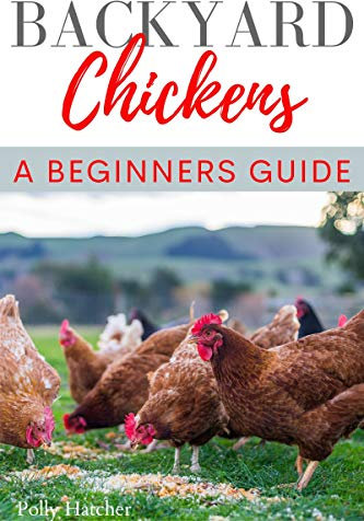 Backyard Chickens: A Beginner's guide (English Edition)