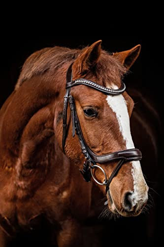 Equipride Anatomische Trense Neapel aus italienischem Leder mit Kristall-Stirnband schwarz & braun (schwarz, cob)