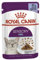 Royal Canin Sensory Feel Jelly | 12 x 85 g | Nassfutter für ausgewachsene Katzen | Stückchen in Gelee | Zur Anregung des Mundgefühls | Instinktiv bevorzugt