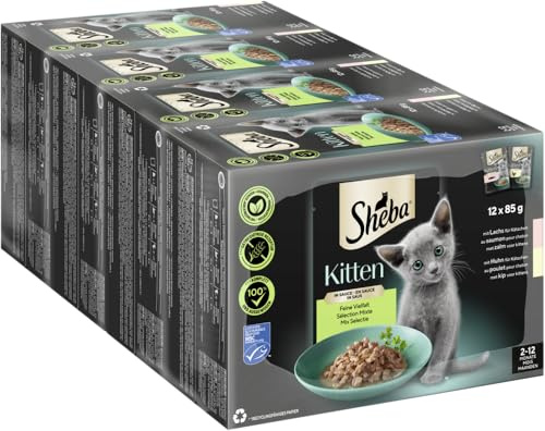 Sheba Kitten Frischebeutel für Kätzchen, gemischte Sauce, 2 Sorten, 12 x 85 g